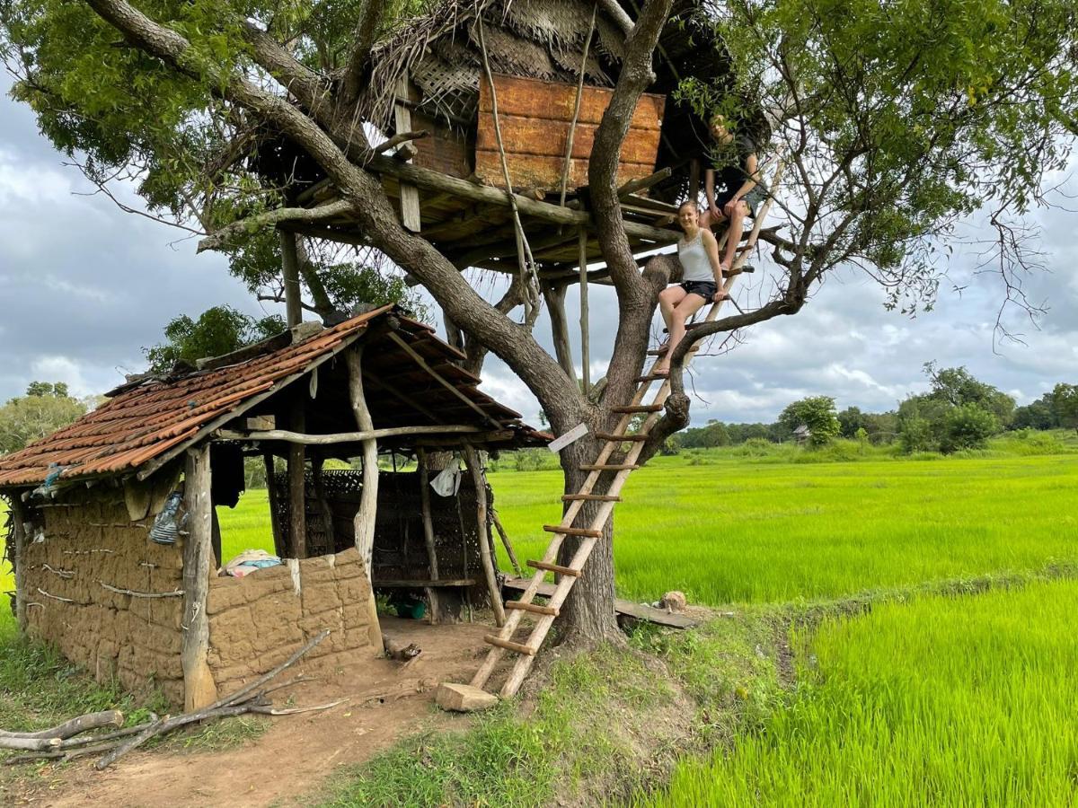 Thilina Homestay Sigiriya Ngoại thất bức ảnh