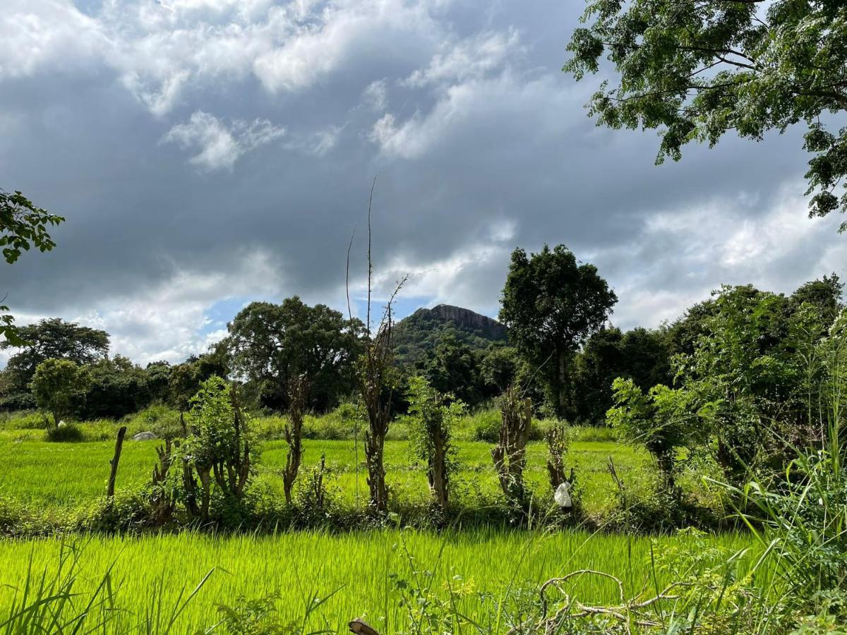 Thilina Homestay Sigiriya Ngoại thất bức ảnh