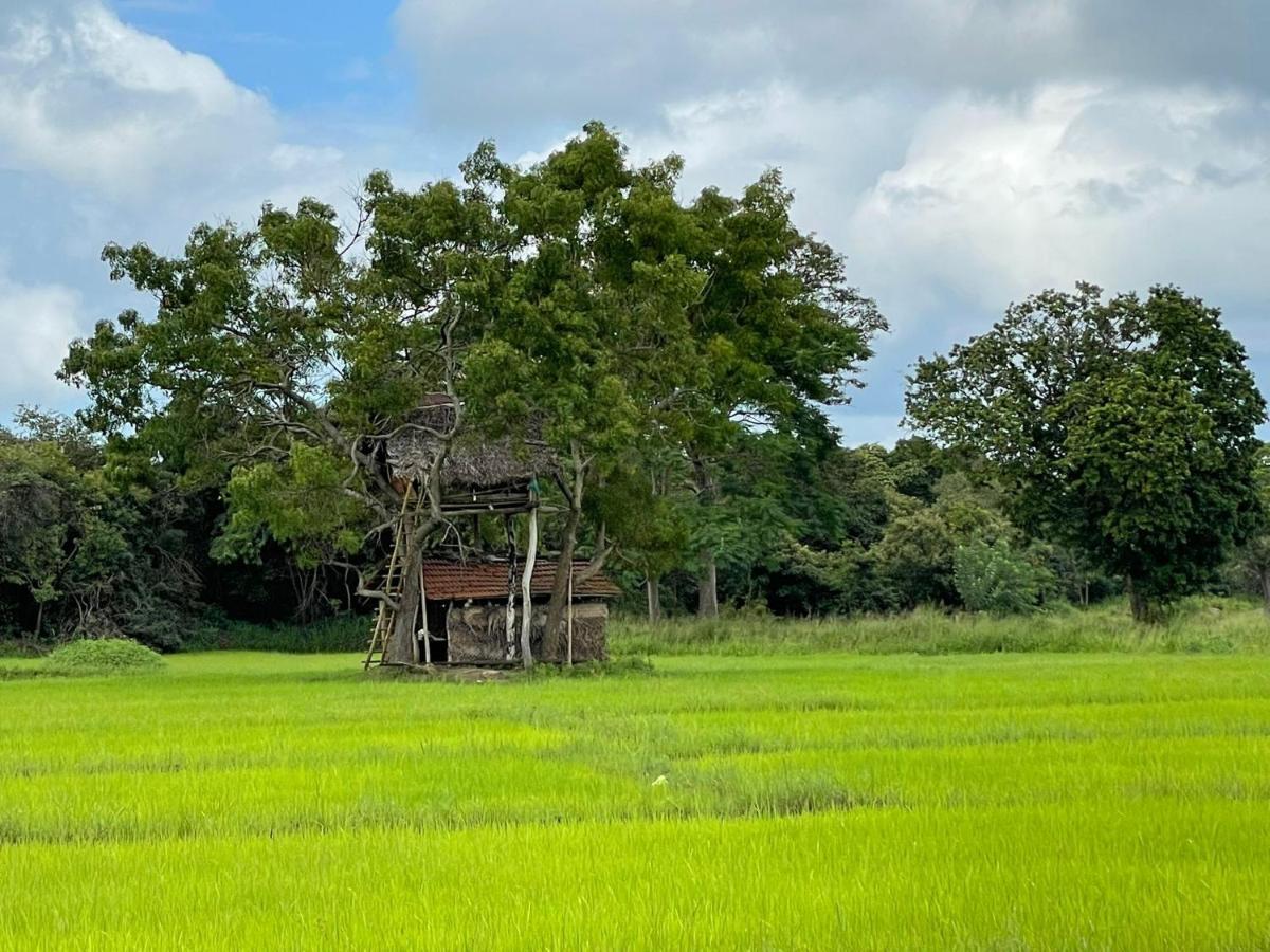 Thilina Homestay Sigiriya Ngoại thất bức ảnh