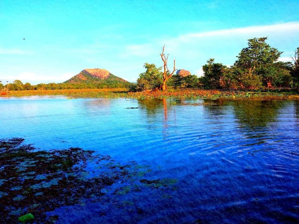 Thilina Homestay Sigiriya Ngoại thất bức ảnh