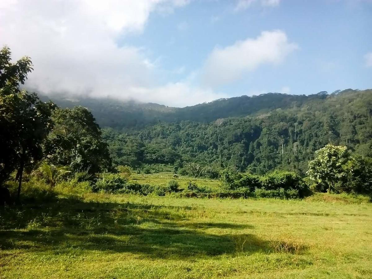 Thilina Homestay Sigiriya Ngoại thất bức ảnh